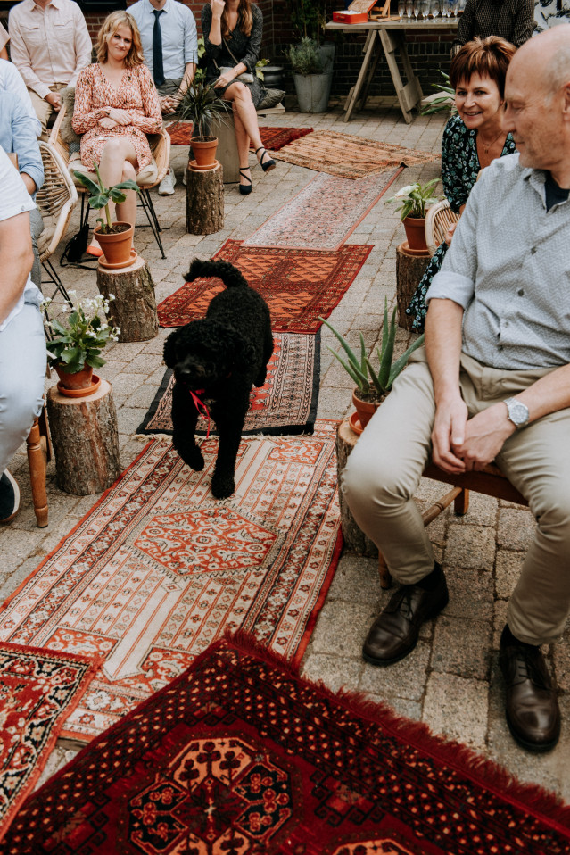 Hund auf dem Weg zum Altar