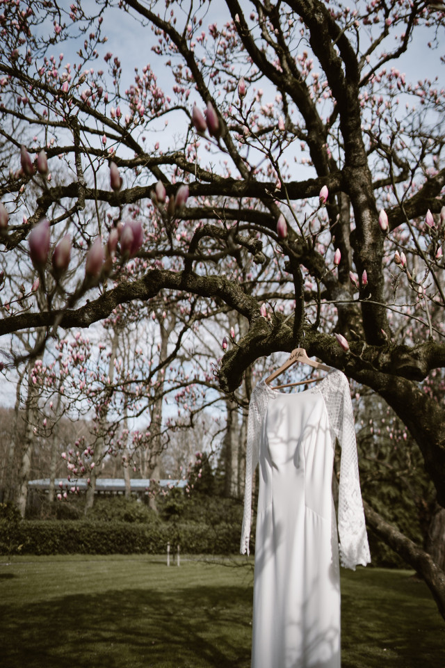 Brautkleid hängt in einem Baum