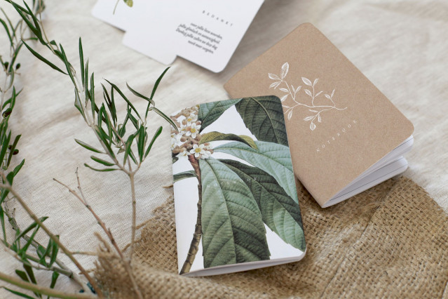 Stationary Cotton Bird