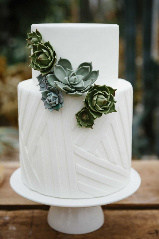 Kleine bruidstaart met vetplant