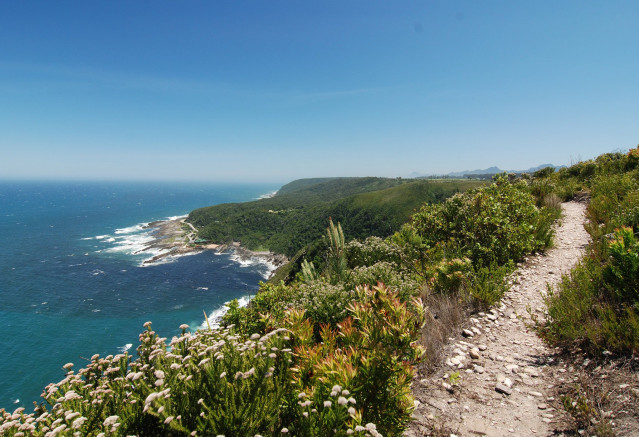 Flitterwochen in Südafrika - wunderschöne Landschaft am Meer